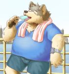  2017 anthro canine clothing dog eating eyes_closed food humanoid_hands male mammal overweight overweight_male shorts solo sweat tiger_cub towel water 