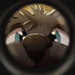  2018 black_fur blue_eyes canine child cub dakka dakkawolf fur invalid_tag male mammal multicolored_fur peephole two_tone_fur wolf young 