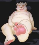  2024 aipangpangdeyua anthro bear belly blush feet genitals hi_res kemono male mammal moobs navel nipples overweight overweight_male penis polar_bear sitting solo ursine white_body 