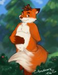  2017 anthro belly canine eyewear fox furball_shirokm glasses humanoid_hands male mammal moobs navel nipples overweight overweight_male penis slightly_chubby solo 