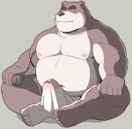  00murice 2018 anthro bear belly blush clothing erection fundoshi humanoid_hands japanese_clothing male mammal moobs navel nipples overweight overweight_male penis simple_background sitting solo underwear 