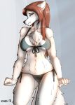  2018 anthro arctic_wolf big_breasts bikini biped breasts canine chest_tuft clothed clothing embarrassed fan_character female front_view fur hair henrietta_(hunterx90) humanoid_hands keidran ketos long_hair mammal midriff signature simple_background solo standing sweat swimsuit tuft twokinds white_fur wolf 