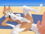  2018 anthro anthrofied beach bedroom_eyes big_breasts breasts butt canine chest_tuft clitoris duo female fluffy fluffy_tail fur half-closed_eyes hi_res human human_on_anthro imminent_sex interspecies lf lycanroc lying male male/female mammal midday_lycanroc nintendo nipples nude on_back on_towel penis pok&eacute;mon pok&eacute;mon_(species) pok&eacute;morph pok&eacute;philia pose presenting presenting_pussy pussy sand sea seaside seductive sky smile towel tuft video_games water 