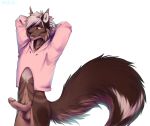  2018 anthro azure_the_fox_(character) bottomless clothed clothing dannoitanart detailed digital_media_(artwork) dipstick_tail drawyourfursona erection feline front_view fur grin hair hi_res hoodie humanoid_penis looking_at_viewer lynx male mammal meme multicolored_tail nude penis simple_background smile sweater tongue tongue_out twitter_hoodie 
