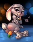  2018 3_toes anthro anus buckteeth butt carrot carrot_(artist) clitoris collar collar_tag disney ears_down female flat_chested food fur grey_fur hi_res improvised_dildo improvised_sex_toy judy_hopps lagomorph looking_at_viewer looking_back lying mammal masturbation nude on_side open_mouth paws penetration purple_eyes pussy pussy_juice rabbit simple_background spank_marks teeth toes tongue vaginal vaginal_masturbation vaginal_penetration vegetable zootopia 