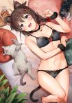  :d ahoge animal animal_ears bare_legs barefoot bell bell_choker black_bra black_panties blue_eyes blush bow bra braid breasts brown_hair cat cat_ears cat_tail choker cleavage commentary eyebrows_visible_through_hair fang hair_bow highres jingle_bell kantai_collection kemonomimi_mode lace lace-trimmed_bra lace-trimmed_panties lying medium_hair navel on_back open_mouth panties paw_pose remodel_(kantai_collection) shigure_(kantai_collection) small_breasts smile solo tail umakuchi_shouyu underwear underwear_only wrist_cuffs 