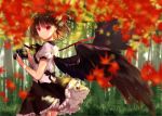  autumn_leaves bamboo bamboo_forest bangs black_bow black_hair black_neckwear black_ribbon black_skirt black_wings bow breasts camera commentary_request cowboy_shot feathered_wings forest hat holding holding_camera kisaragi_yuri light_particles looking_at_viewer medium_breasts nature neck_ribbon petticoat puffy_short_sleeves puffy_sleeves red_eyes ribbon shameimaru_aya shirt short_hair short_sleeves skirt solo standing tokin_hat touhou white_shirt wings 