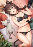  :d ahoge animal animal_ears bare_legs barefoot bell bell_choker black_bra black_panties blue_eyes blush bow bra braid breasts brown_hair cat cat_ears cat_tail choker cleavage eyebrows_visible_through_hair fang hair_bow highres jingle_bell kantai_collection kemonomimi_mode lace lace-trimmed_bra lace-trimmed_panties lying medium_hair navel on_back open_mouth panties paw_pose remodel_(kantai_collection) shigure_(kantai_collection) small_breasts smile solo tail umakuchi_shouyu underwear underwear_only wrist_cuffs 