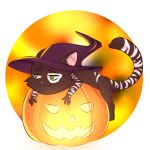  cat diego_montano feline food fruit green_eyes halloween hat holidays jack-o&#039;-lantern mammal pumpkin source_request stripes unknown_artist witch_hat 