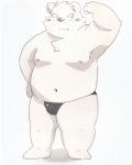  2018 anthro blush bulge canine clothing dog fur kipchin_2nd00 male mammal moobs navel nipples overweight overweight_male simple_background solo underwear white_fur 