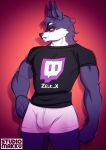  anthro bulge canine clothed clothing fur hair male mammal muscular muscular_male simple_background smile solo tsudamaku twitch.tv 