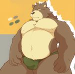  2017 anthro bear belly black_nose boar_stag144 brown_fur bulge clothing fur humanoid_hands male mammal moobs navel nipples overweight overweight_male simple_background solo underwear 