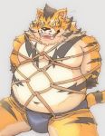  2015 anthro belly boar_stag144 bound bulge clothing feline fundoshi japanese_clothing male mammal moobs navel overweight overweight_male simple_background sitting solo tiger underwear 