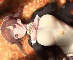  autumn blush brown_eyes brown_hair leaves tagme_(artist) tagme_(character) twintails 