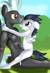  anal anal_penetration animal_genitalia animal_penis anthro anthro_on_anthro brothers cowgirl_position cub equine_penis erection friendship_is_magic incest jbond male male/male my_little_pony on_top penetration penis rumble_(mlp) sex sibling thunderlane_(mlp) young 