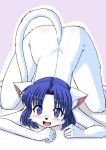  2015 all_fours ass_up bellna blue_eyes blue_hair blush butt feline female fur hair inner_ear_fluff looking_at_viewer mammal milkexplorer nude open_mouth pink_background simple_background solo white_fur 