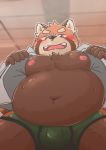  2018 anthro belly blush bulge clothed clothing humanoid_hands male mammal moobs navel nipples open_shirt overweight overweight_male re_pandash red_panda shirt solo underwear 