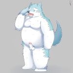  2016 anthro balls belly blue_fur blush canine erection fur male mammal moobs one_eye_closed overweight overweight_male park_kr penis solo sweat wink wolf 
