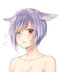  animal_ears bangs blush breasts collarbone commentary_request eyebrows_visible_through_hair final_fantasy final_fantasy_xiv heterochromia midorikawa_you miqo'te nude out-of-frame_censoring parted_lips purple_eyes purple_hair red_eyes short_hair simple_background small_breasts solo upper_body white_background 