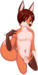  animal_genitalia balls bastion black_nose brown_fur brown_hair canine dipstick_tail fox fur green_eyes hair male mammal multicolored_tail navel nude orange_fur sheath simple_background solo standing teenager white_background young 