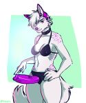  anthro bra canine clothing collar dildo female flynx-flink looking_at_viewer mammal sex_toy simple_background smile solo standing strapon underwear 