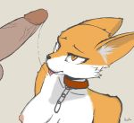  2019 anthro balls breasts canid canine chain collar digital_media_(artwork) disembodied_penis duo ear_tuft erection female female_focus fox fur glans hair hi_res humanoid_penis licking male male/female mammal nipples nude oral orange_ears orange_fur ownychan penis precum precum_string saliva simple_background solo_focus tears tongue tongue_out tuft white_fur 