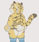 2025 anthro black_eyes blue_clothing blue_footwear blue_socks blush blush_lines bodily_fluids body_hair brown_body brown_fur brown_stripes butt butt_hair cafongterua closed_frown clothed clothing digital_media_(artwork) eyebrows felid fist flat_colors footwear frown fur jockstrap kemono looking_back male mammal mouth_closed multicolored_body multicolored_fur muscular muscular_anthro muscular_male orange_body orange_fur pantherine portrait rear_view red_clothing red_jockstrap red_nose red_underwear short simple_background slightly_chubby snout socks solo standing stocky striped_body striped_fur stripes sweat sweaty_butt tail thick_thighs three-quarter_portrait three-quarter_view tiger topless underwear veiny_arms whiskers white_background white_body white_fur