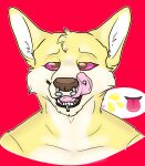 absurd_res andromorph anthro bodily_fluids bust_portrait canid canine canis dialogue domestic_dog drinking drinking_urine emoji facial_piercing genital_fluids headshot_portrait herding_dog hi_res hypnosis hypnotic_eyes intersex licking male mammal mind_control pastoral_dog piercing portrait pup_stachi ringed_eyes solo speech_bubble teeth teeth_showing text tongue tongue_out urine urine_in_mouth watersports welsh_corgi