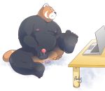  2018 anthro balls belly blush computer cum erection humanoid_hands male mammal masturbation moobs navel nipples overweight overweight_male pandaj_(artist) penis red_panda sitting solo toy 