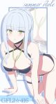  1girl between_breasts bikini black_bikini breasts cleavage commentary_request english_text girls&#039;_frontline girls&#039;_frontline_2:_exilium green_eyes highres hk416_(girls&#039;_frontline) klukai_(girls&#039;_frontline_2) large_breasts light_smile long_hair looking_at_viewer official_alternate_costume parted_lips ponytail sidelocks simple_background smile solo star_(symbol) swimsuit tattoo teardrop_facial_mark teardrop_tattoo thigh_strap uchikata_takeaki white_background white_hair zoom_layer 