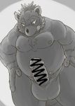  2017 anthro balls belly big_balls canine erection hi_res humanoid_hands male mammal moobs nipples overweight overweight_male penis rockmai3 sengoku_puzzle simple_background solo tanuki tokugawa_ieyasu tongue tongue_out 