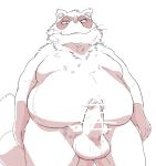  2017 anthro balls belly big_balls canine cum erection hi_res humanoid_hands hysk male mammal moobs overweight overweight_male penis sengoku_puzzle simple_background solo tanuki tokugawa_ieyasu white_background 