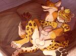 2018 alternate_version_at_source anal anal_penetration anthro anthro_on_anthro anthro_penetrated anthro_penetrating anthro_penetrating_anthro balls bent_spoon_position bodily_fluids canid canine cum cum_in_ass cum_inside duo facial_hair felid fox from_behind_position furniture genital_fluids genitals goatee holding_another holding_partner humanoid_genitalia humanoid_penis leaking_cum legs_up leopard male male/male male_penetrated male_penetrating male_penetrating_male mammal nude paintfox paintfox_(character) pantherine pawpads paws penetration penile penile_penetration penis penis_in_ass sex sofa spread_legs spreading therris