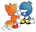  2boys animal_ears black_eyes blue_fur child classic_tails commentary english_commentary fox_boy fox_ears fox_tail full_body furry furry_male gloves highres holding_hands in-franchise_crossover kitsunami_the_fennec male_focus multiple_boys multiple_tails simple_background smile sonic_(series) sonic_the_hedgehog_(classic) sonic_the_hedgehog_(idw) standing stiffcorpse tail tails_(sonic) tied_ears two_tails white_background white_gloves yellow_fur 