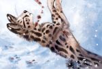  2018 ambiguous_gender black_nose blood detailed_background digital_media_(artwork) feline feral flashw fur mammal serval snow solo spots spotted_fur wounded 