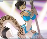  anthro big_breasts biped black_nose bra breasts cheetah clothing facial_markings feline female fur gizmo0sue hair happy humanoid_hands long_hair mammal markings navel panties pole round_ears smile standing stripper_pole underwear undressing zeliska 