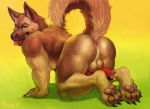  2017 4_toes all_fours animal_genitalia animal_penis anthro anus balls beauty_mark biceps big_butt biped black_nose blue_eyes brown_fur butt canine canine_penis chumbasket claws digital_media_(artwork) digitigrade dog eyebrows fur german_shepherd gradient_background hi_res hindpaw looking_at_viewer looking_back male mammal multicolored_fur muscular muscular_male nude pawpads paws penis penis_backwards perineum pink_pawpads pink_tongue precum presenting presenting_hindquarters raised_tail simple_background smile smirk solo tan_fur teeth toes tongue tongue_out 