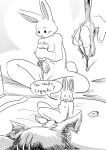 absurd_res anthro beastars bed bed_sheet bedding blush breasts canid canine canis clothing comic dialogue dragonweirdo duo female footwear furniture genitals haru_(beastars) hi_res hotel_room lagomorph legoshi_(beastars) leporid lube lube_bottle lube_drip male mammal nipples rabbit scar smile socks vulva wolf