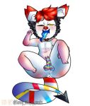 anthro anus balls belly_blush black_body black_fur blue_tongue blush bodily_fluids body_blush butt_blush canid canine cheek_tuft chibi collar collar_only collar_tag cum erection facial_tuft featureless_chest fur genital_fluids genitals hair heart_collar_tag hybrid hyena logan_(carlarzall) male mammal markings momo163 multicolored_tail nude penis red_hair red_nose solo spade_tail striped_genitalia striped_markings striped_penis striped_tail stripes sunny_side_up_works tail tail_markings tongue tuft x_anus