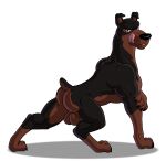 4_toes absurd_res balls biceps big_balls big_butt black_body black_fur black_nose buster_(lady_and_the_tramp) butt canid canine canis claws disney dobermann domestic_dog feet feral folded_ears fur genitals hi_res lady_and_the_tramp looking_at_viewer looking_back lustful_gaze male mammal masculine masterxvmon mastiff molosser muscular muscular_bottom muscular_feral muscular_male pinscher pose presenting presenting_hindquarters rear_view rottweiler short_tail smile smirk solo tail tan_body tan_fur toes tongue tongue_out