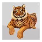  2017 digital_media_(artwork) feline feral fur mammal orange_eyes paws simple_background striped_fur stripes tiger x-zelfa yellow_eyes 