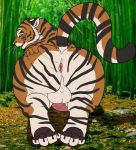  absurd_res anthro anus balls butt feline hi_res male mammal nude penis pyc-art rear_view slightly_chubby solo tiger 