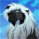  2014 black_fur blue_eyes day detailed_background digital_media_(artwork) feline fur grey_fur hair lion male mammal outside sky sura white_hair x-zelfa 