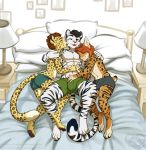  anthro bed bulge clothed clothing cuddling feline girly group hand_on_bulge kissing kissing_cheek kittydee lying lynx male male/male mammal on_back on_side sex shorts smile tiger topless 