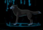  2010 black_fur black_nose canine digital_media_(artwork) dog fur mammal oneminutesketch paws smile solo 