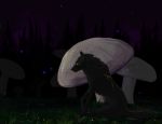  2010 black_fur canine digital_media_(artwork) feral fur grass mammal mushroom night oneminutesketch outside sitting solo wolf 