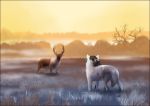  2015 brown_fur canine cervine day detailed_background digital_media_(artwork) dog duo feral fur grass mammal oneminutesketch outside sky white_fur 