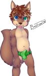  2018 anthro bastion brown_fur brown_hair brown_nose bulge canine child clothing cub dog erection fur hair heterochromia male mammal penis_outline solo speedo swimsuit tongue tongue_out young 
