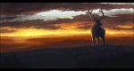  2017 cervine day detailed_background digital_media_(artwork) elk feral grass mammal oneminutesketch outside sky solo 