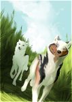  2018 canine day detailed_background digital_media_(artwork) dog duo feral fur grass mammal oneminutesketch outside paws sky standing white_fur 